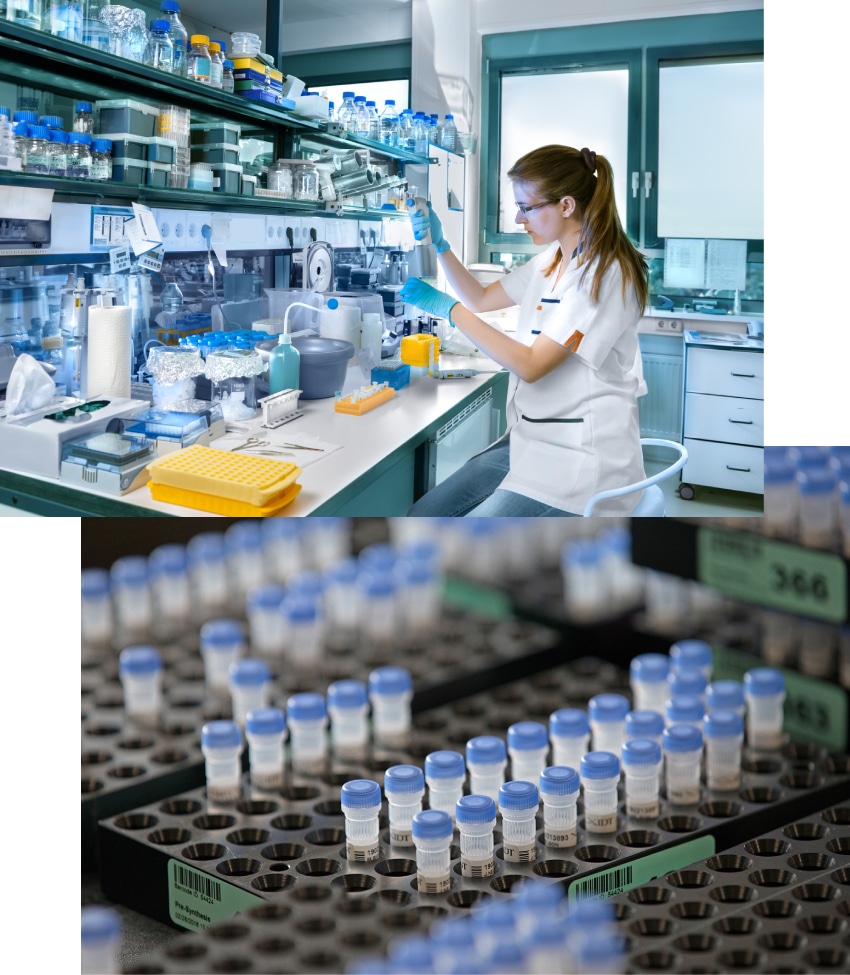 Support at every phase