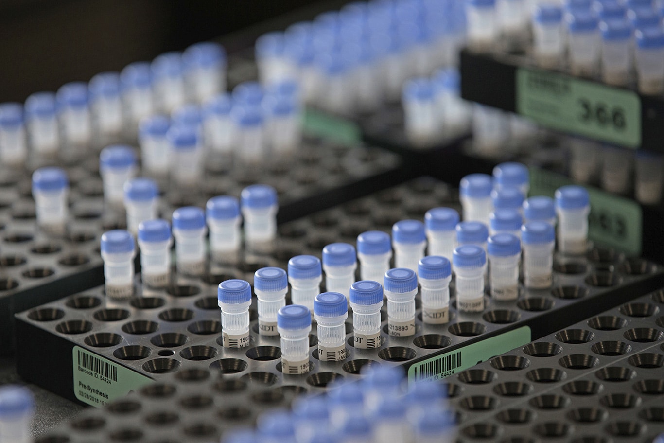 Custom primer design made easy 