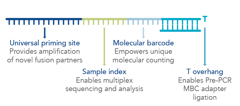 Confident identification with AMP