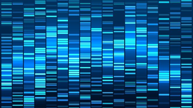 Personalize your experience