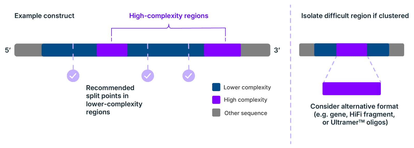 DNA construct map showing recommended fragment split points in lower-complexity regions and isolation of highly complex sequence regions for alternative synthesis strategies.