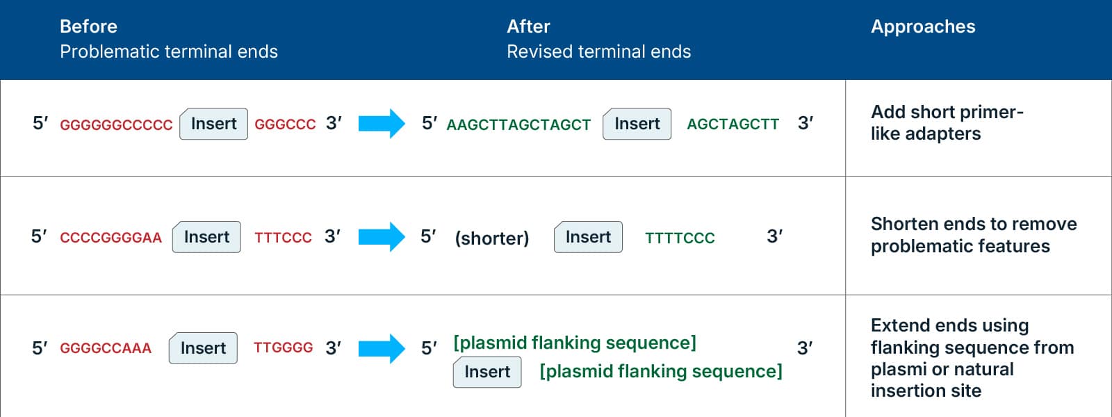 Diagram showing terminal-end redesign strategies for linear DNA fragments, including shortening ends, adding primer-like sequences, and extending ends with flanking sequence to address terminal complexity.