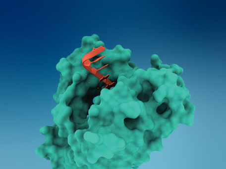Ansa Biotechnologies
