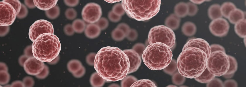 Could artificial intelligence (AI) algorithms improve breast cancer prediction models?