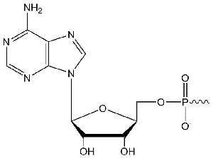 D-OLI12MH-adenylation-F1 MOD_impA