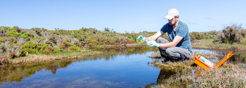 Is the beach open? Get an answer faster – with help from PCR