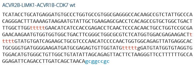 D-PCR13LT-standardcurves-F1