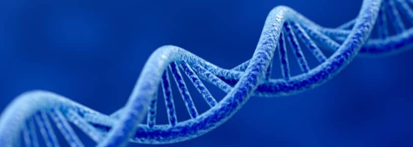 Unveiling the potential of cell-free DNA