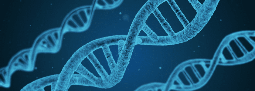 Recent CRISPR News: Therapy for MD, studies about Alzheimer’s, and an end to heart attacks?