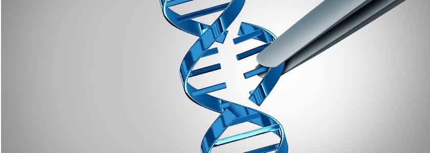 There’s a new CRISPR enzyme for editing