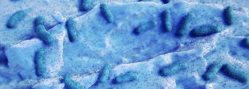 Expression vectors: The what, why, and how