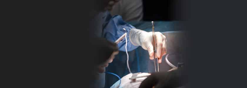 Pigs: the answer to human organ shortages?