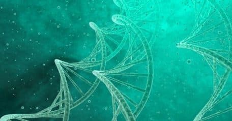 DNA synthesis: The basics