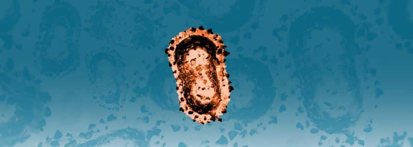 COVID-19 vs. monkeypox