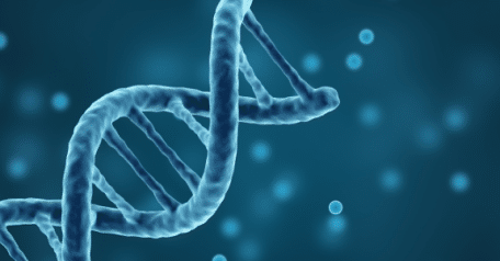 (Almost) everything you need to know about gene fragments