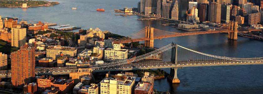 Confronting the pandemic